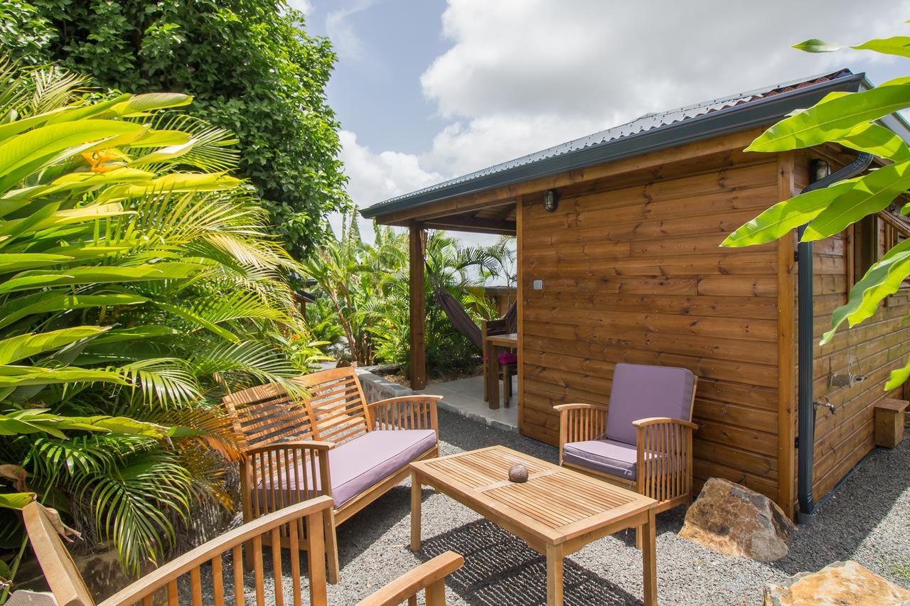 Lodge Iguana *