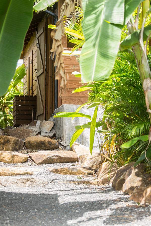 Iguana Lodge *