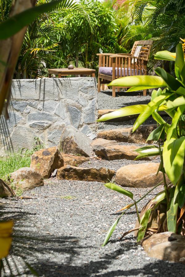 Iguana Saint-Francois (Grande-Terre)